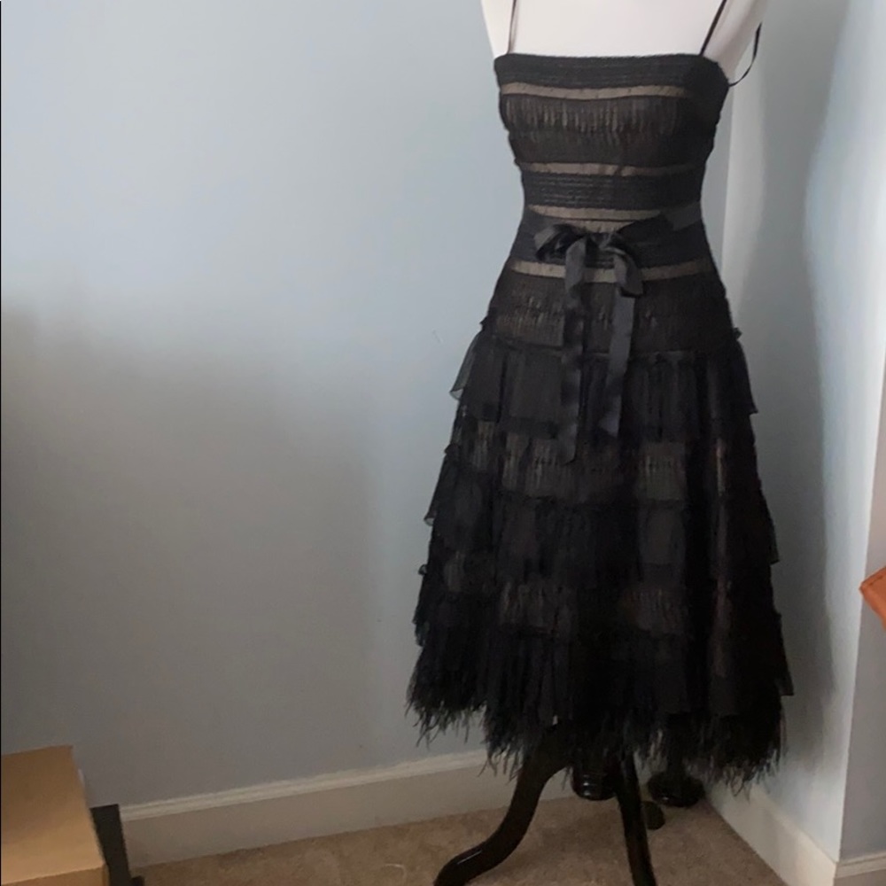 BCBG Maxazria black/nude sheer dress